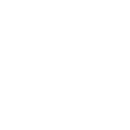 LinkedIn Logo